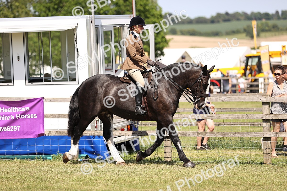 SBM_17822 - Class 81-83 - TSR Ridden Amateur of the Year - Horses