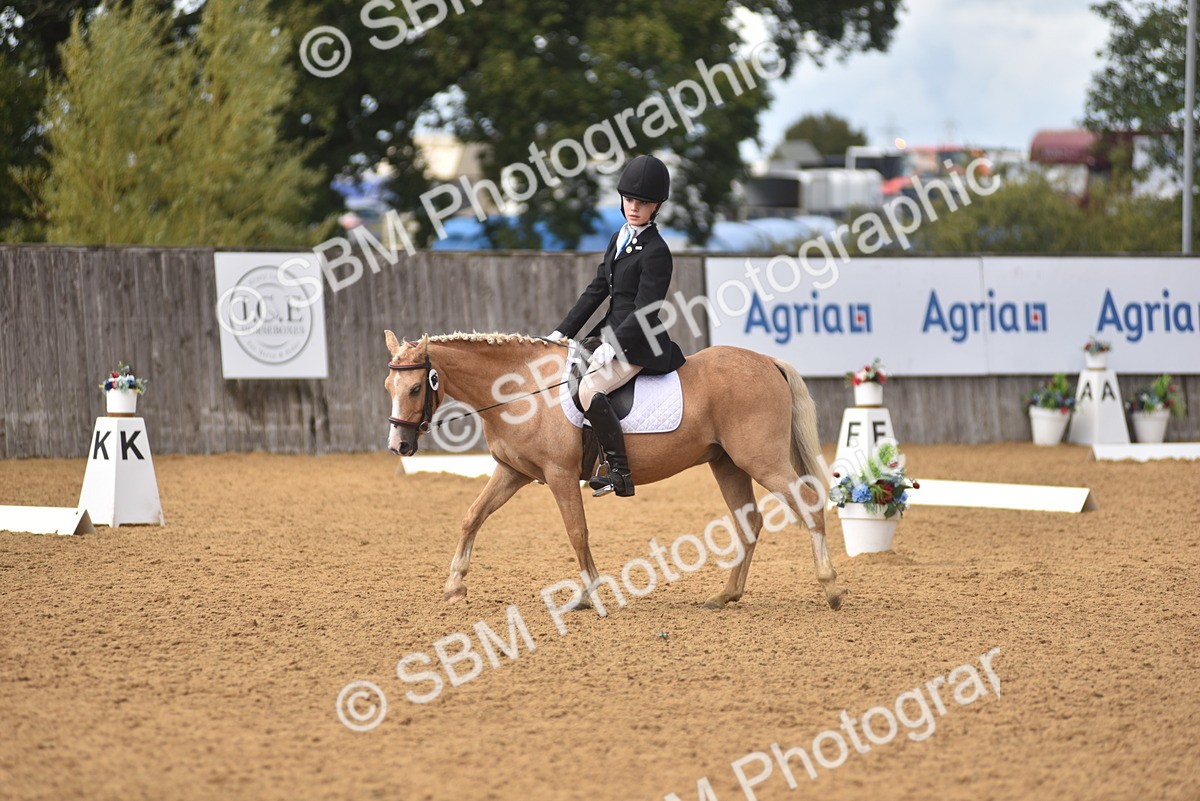 SBM_48668 - D22 - Junior Championship Intro 3