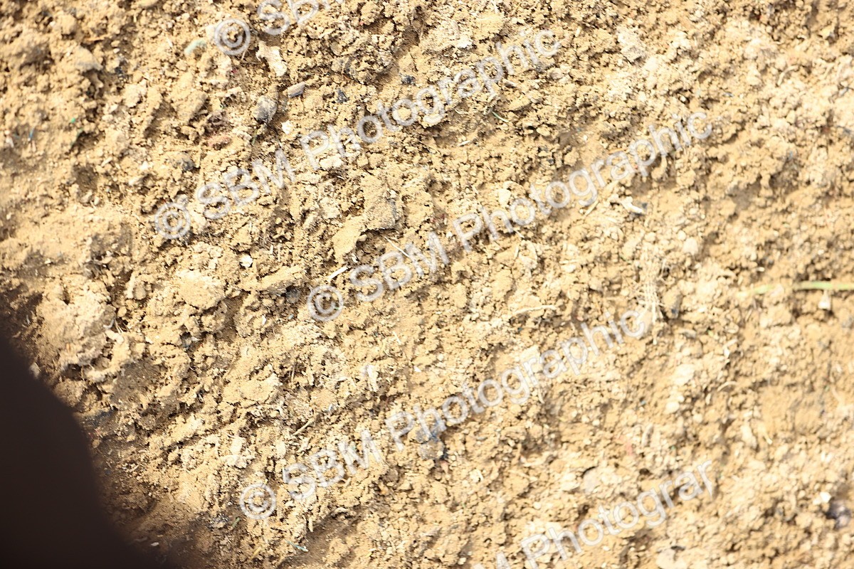 SBM_012325 - Class 10 - Talent Seekers Inc 7 Year Championship Qualifier - 2nd Half