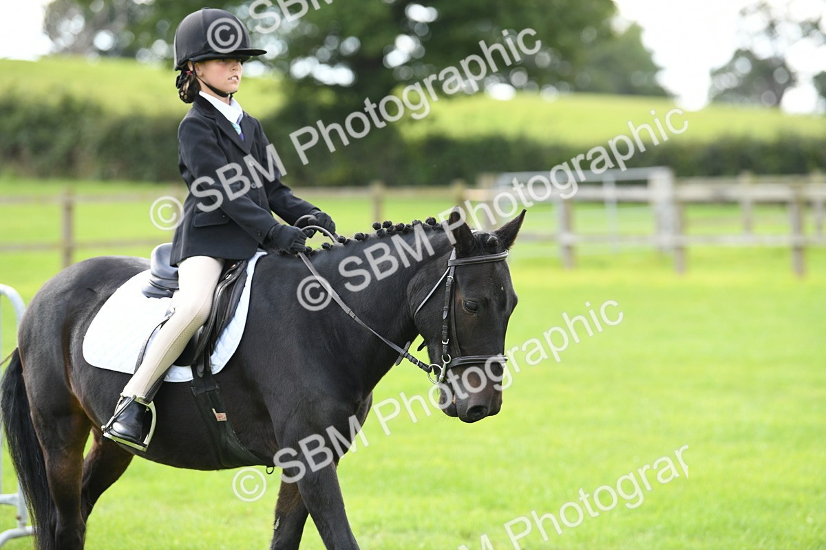 SBM_46706 - S12 - Family Horse & Pony