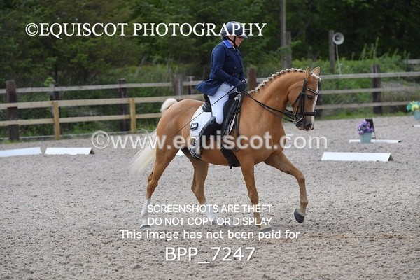 BPP_7247 - 3 D HARRISON
