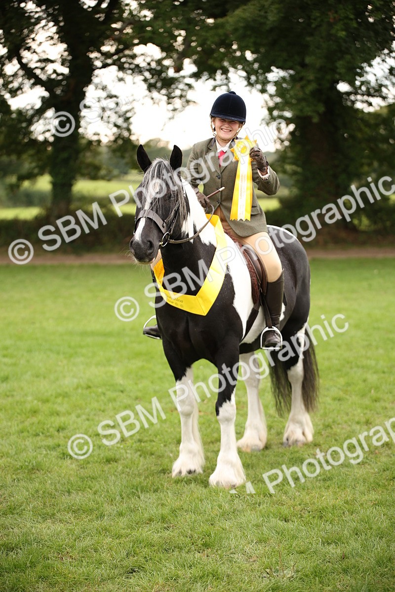 SBM_73581 - S68 - Traditional Cob Ridden