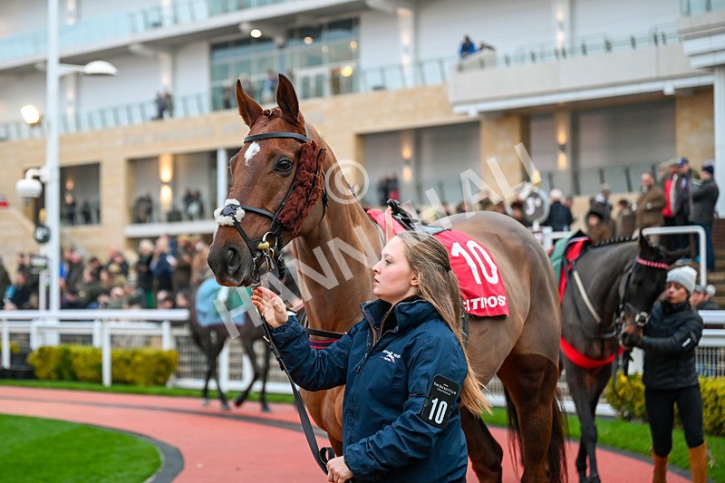 131224-Race 7-Wonderful Eagle-0112 - Race 7