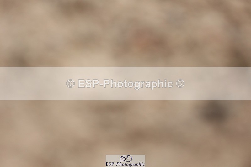 250621-103639-06262 - Cls 31 - Freestyle Elementary