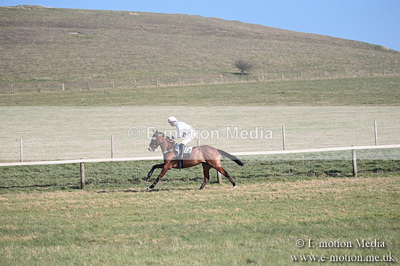 PtP 230219 141 - Vine & Craven Point-To-Point - Barbury 23/02/19