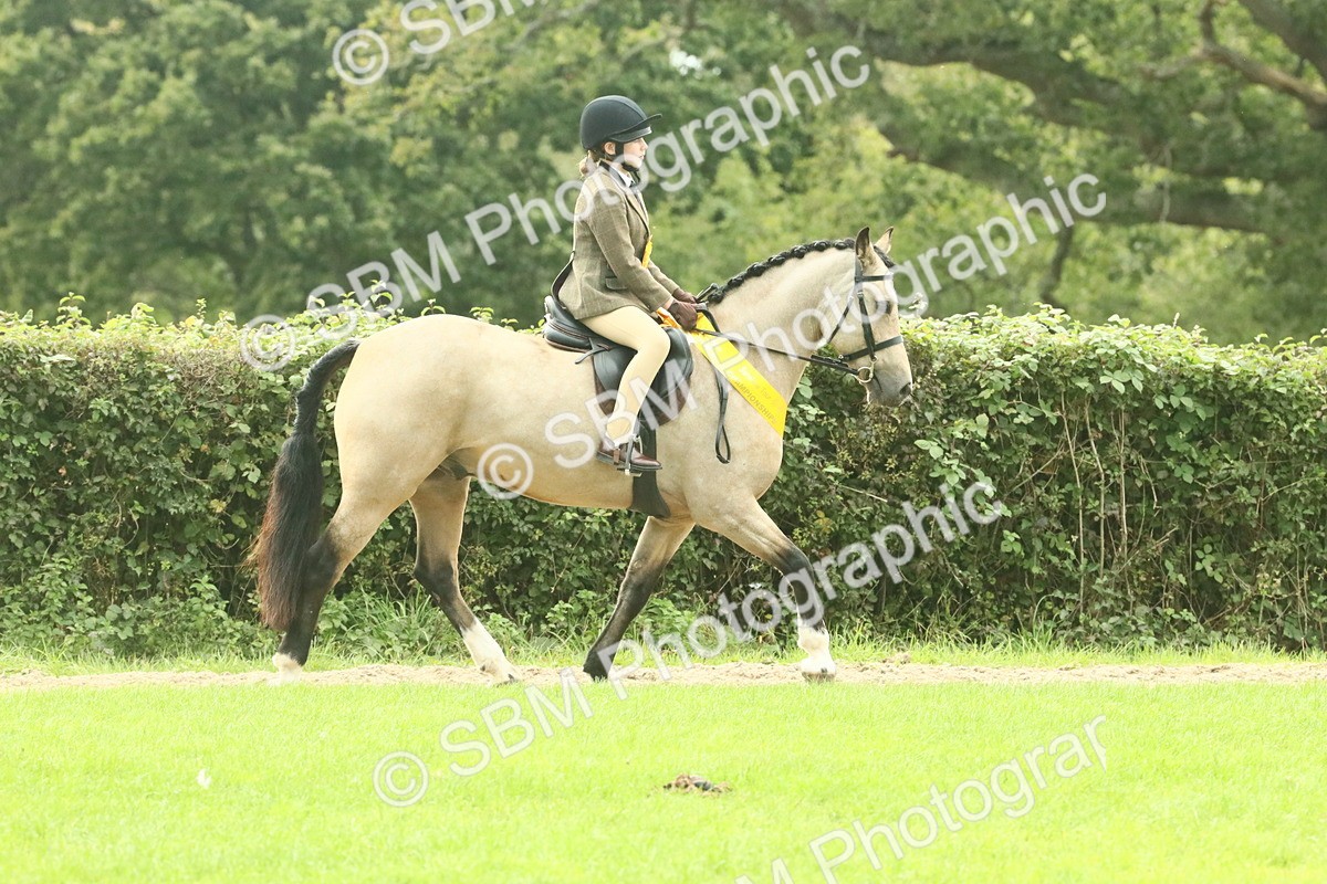 SBM_74969 - Ridden Pony Supreme Championship