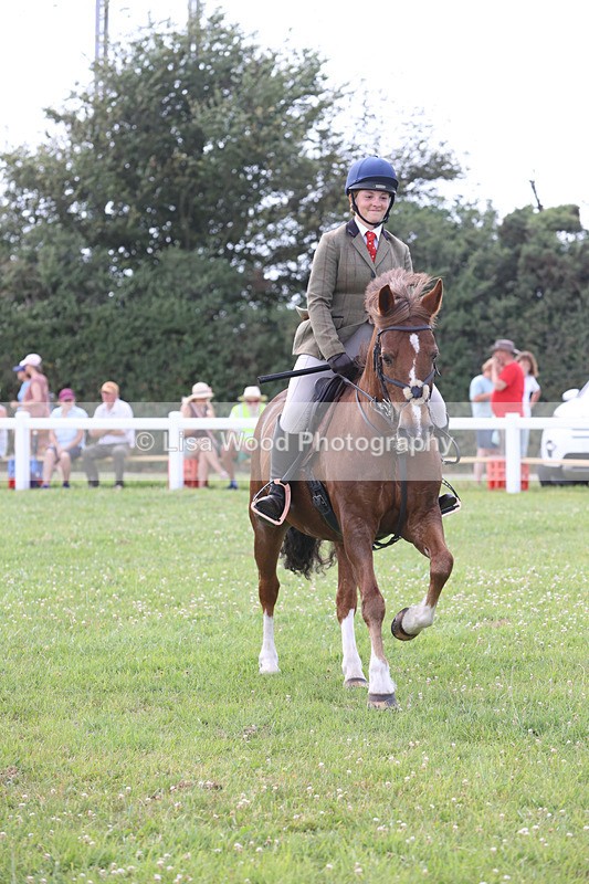 JPP_3902 - Class 23: Working Hunter 80cm