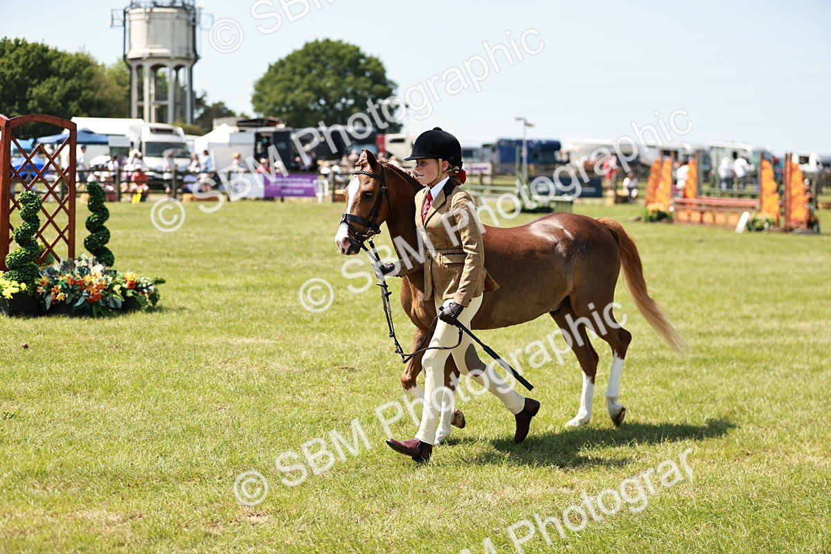 SBM_15689 - Class 108-109 - BSPS LIHS Open Gradle & Nursery Stakes