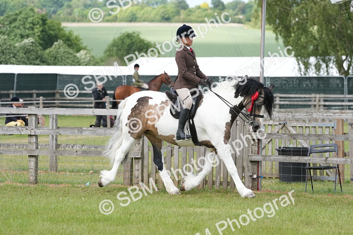 SBM_17642 - Class 107-108 - LIHS BSPS Performance Coloured Horse Pony