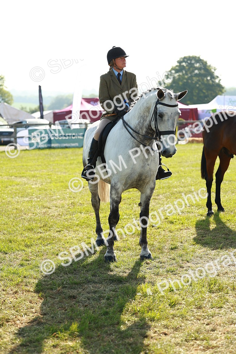 SBM_10831 - Class 66-69 - RIHS Ridden Hunters Inc Small Hunter