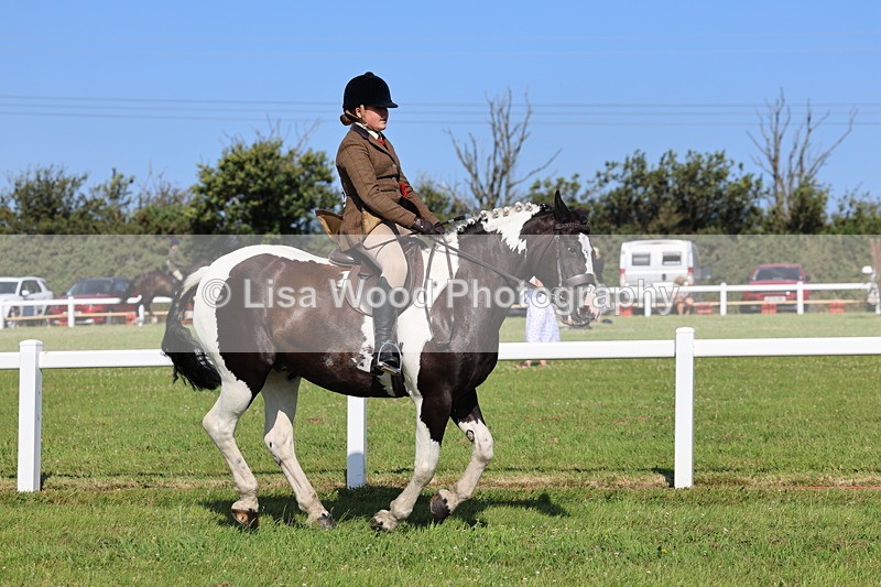 IMG_1644 - Skewbald and Piebald Ridden Championship