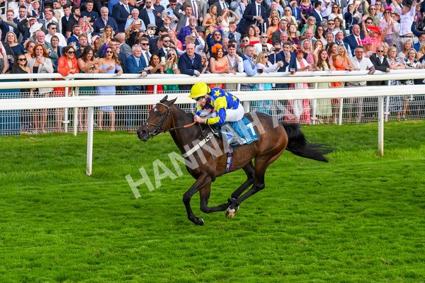 260823-Race 7-Astro King-1073 - Race 7 Sky Bet Finale Handicap at York