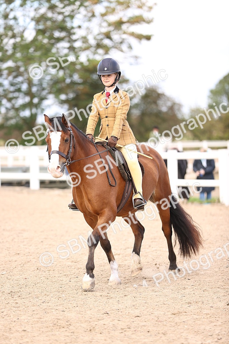 SBM_12841 - Class 409 - Grassroots Ridden - Pony