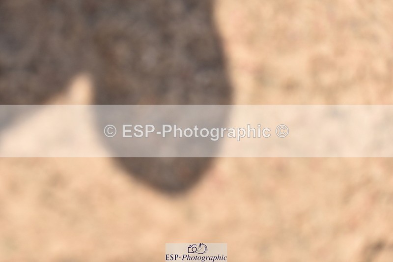 230811A-130302-05041 - Cls 21 Snr 1.20m Open