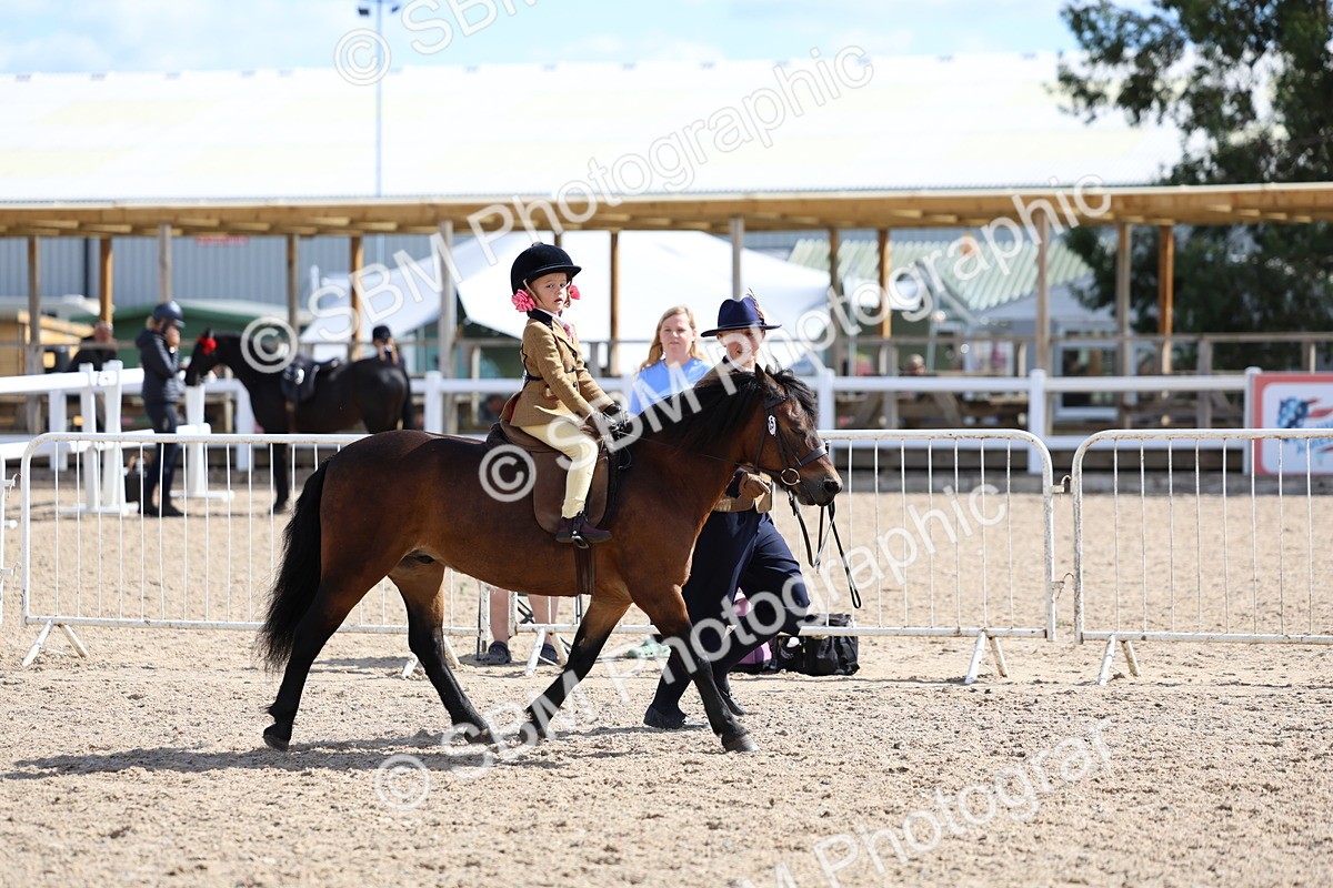 SBM_13056 - Class 309 - Lead Rein Pony