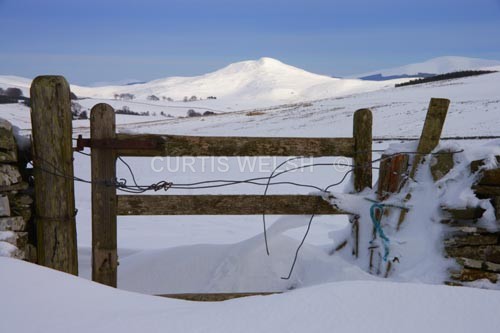117 - SCOTTISH BORDERS