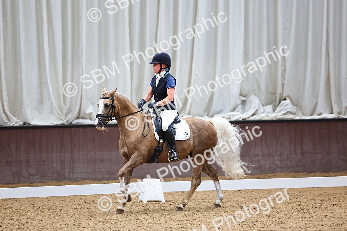 SBM_005591 - Elementary 2