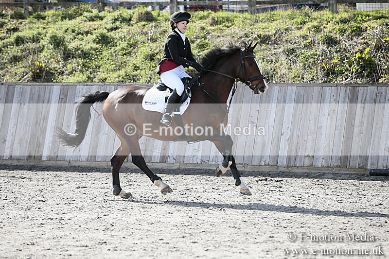 BVRC SJ 170319 596 - Bourne Valley Riding Club Showjumping 17/03/19