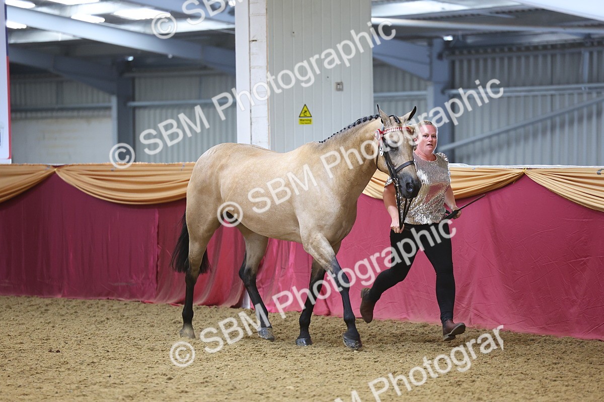 SBM_24979 - Grand Supreme Final Overall Champion