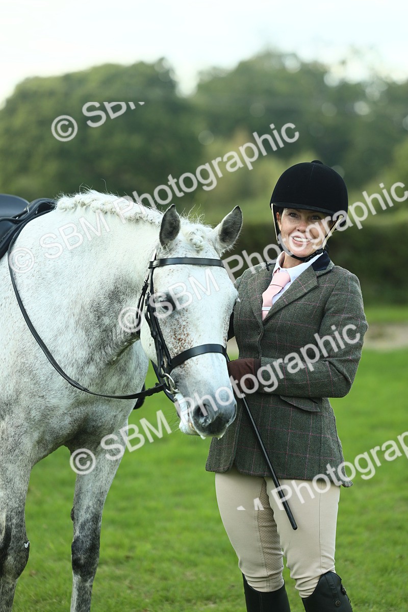 SBM_50725 - S33 - Working Hunter & Working Show Horse