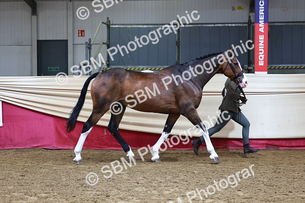 SBM_22146 - Class 902 - Supreme Final - IH Diamond