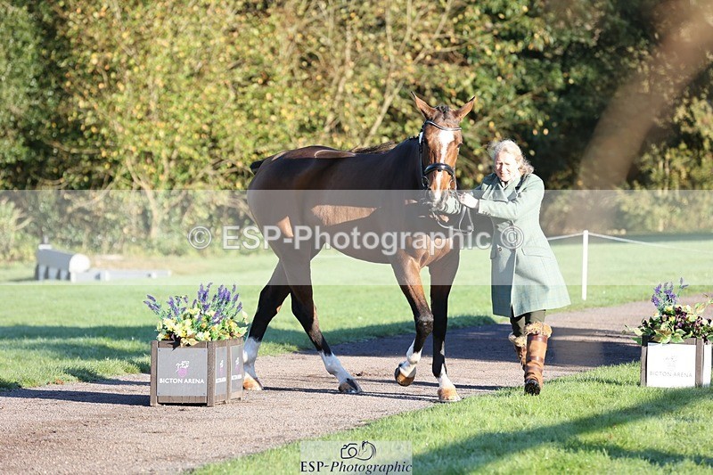 241027-083726-14700 - 378-Fern.Hordern-SHES.ALL.THAT