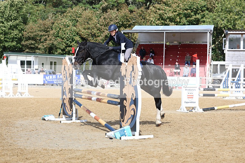 3E7A9485 - Class 9: Senior British Novice/90cm open