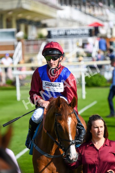 160623-Race 7-Diamond Bay-0741 - Race 7 5.21pm Constant Security Handicap