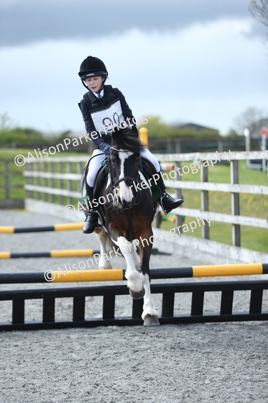 20260412-1821 - Show Jumping
