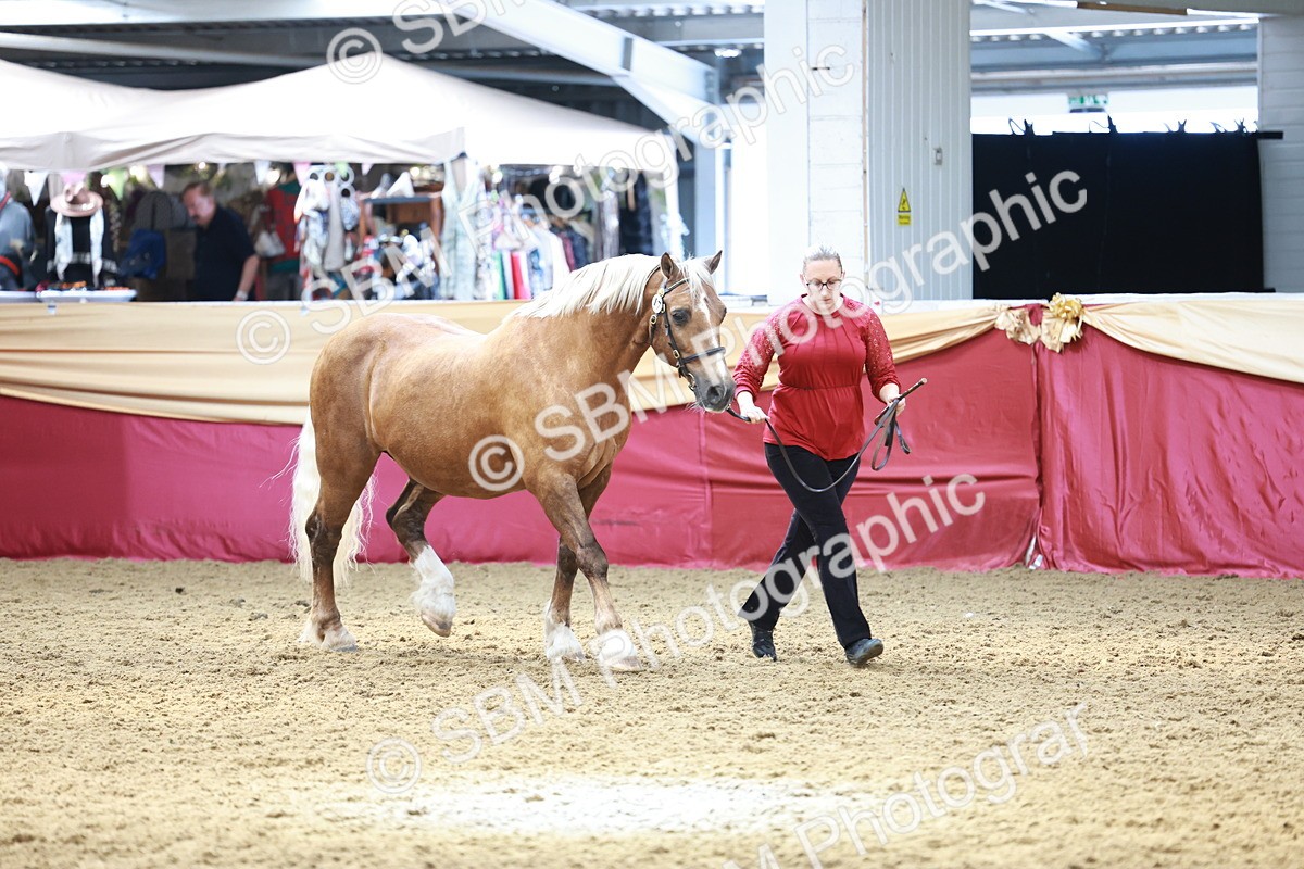 SBM_17515 - Class 951 - M&M IH Supreme Final