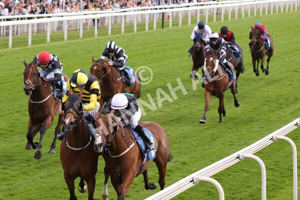 yr10062022r7-23 - Race 7 5.10pm Andy Thornton Hospitality Furniture Stakes