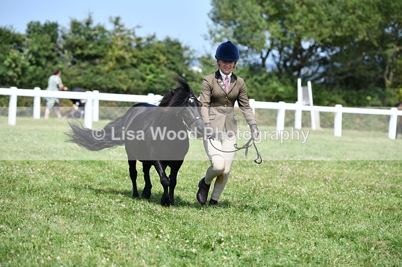 DSC_8178 - Class 67: Child Handler 11 - 16 years