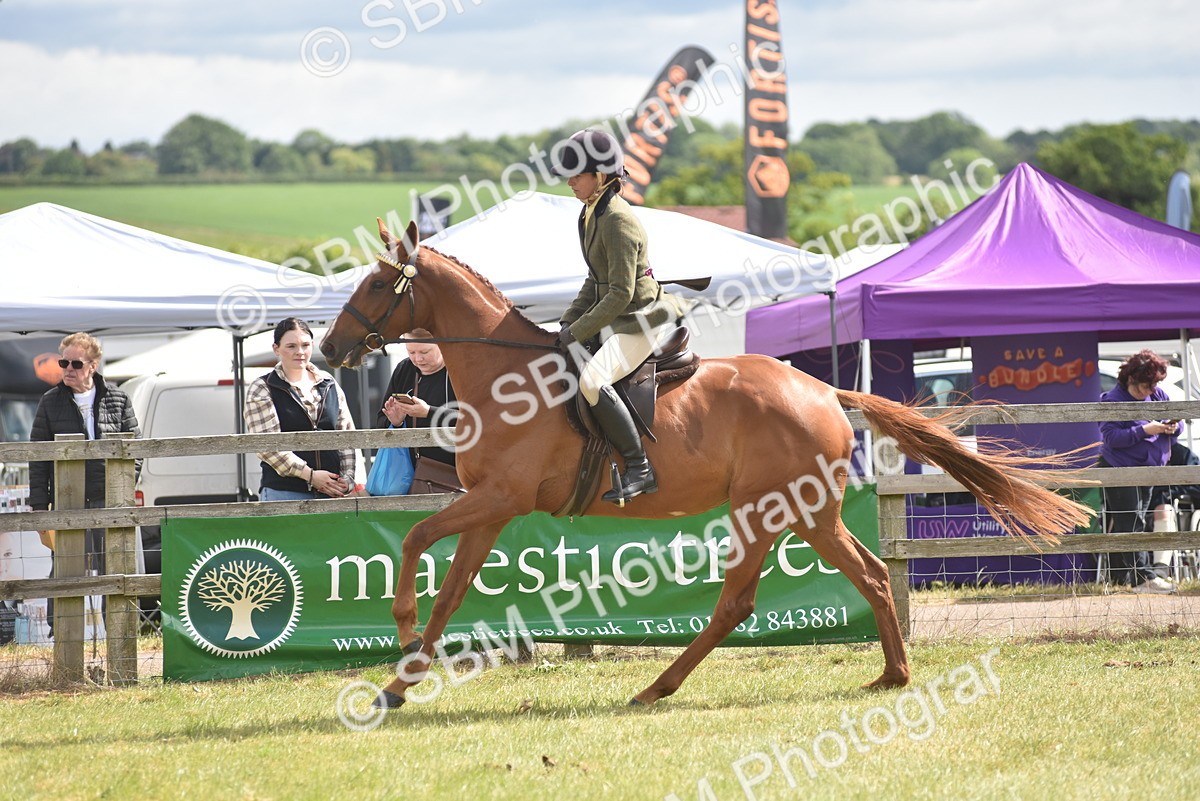 SBM_15085 - Class 113-114 - Retraining of Racehorses Ridden
