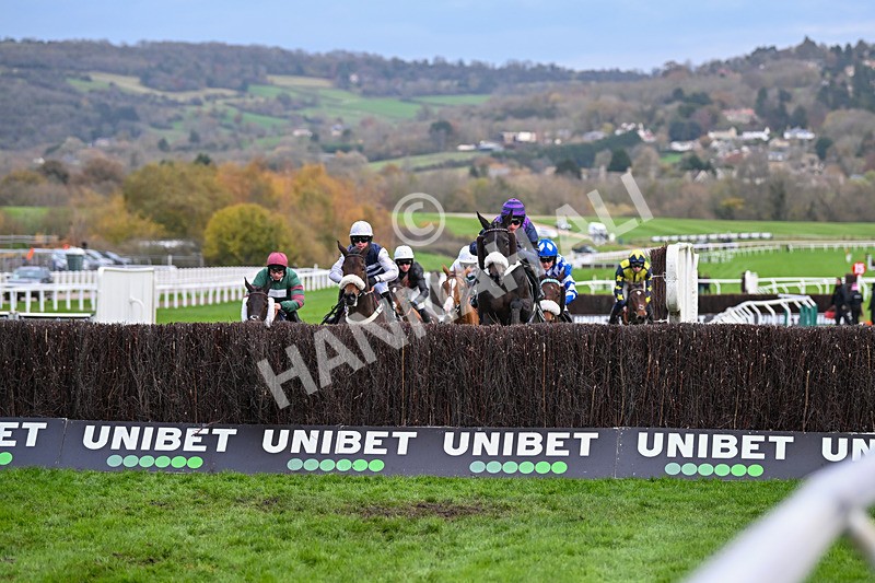 171124-Race 4-Abuffalosoldier-3549 - Race 4