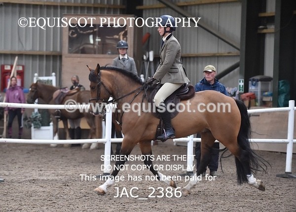 JAC_2386 - CLASS 3 Intermediate Working Hunter
