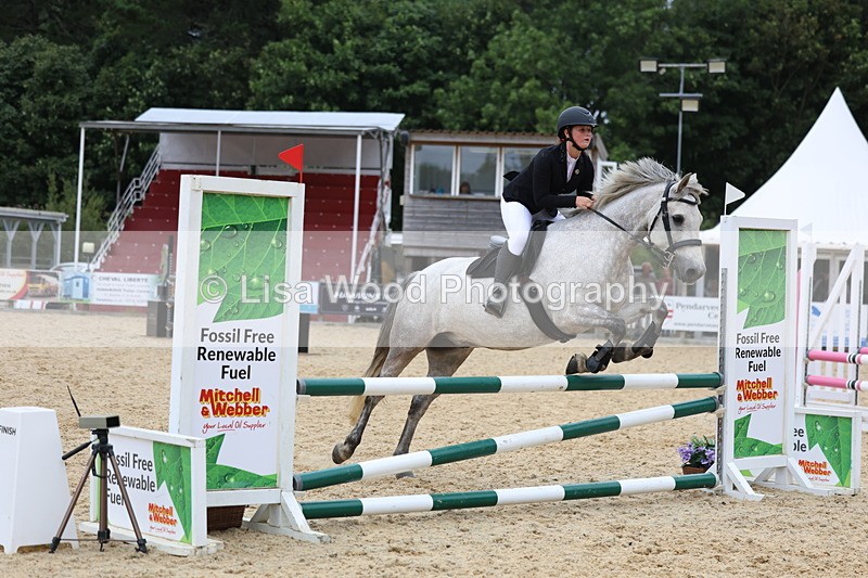 3E7A7053 - Class 13: Pony British Novice/80cm open