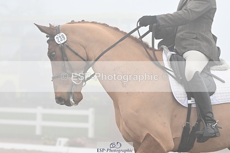 240217A-130233-02735 - 239-Sophie.Hawke-Dionysus