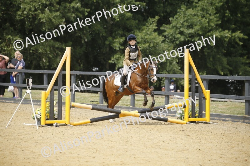 20250622-4761 - 50cm