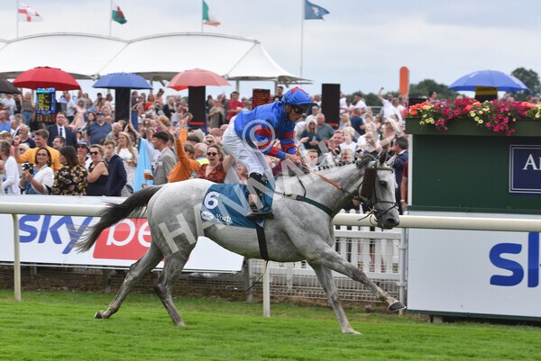 yr23072022r5-34 - Race 5 4.25pm Sky Bet UK's No1 Betting App Stakes