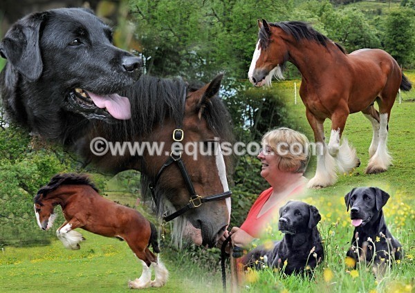 kirsty hyslop2 - KHyslop020112