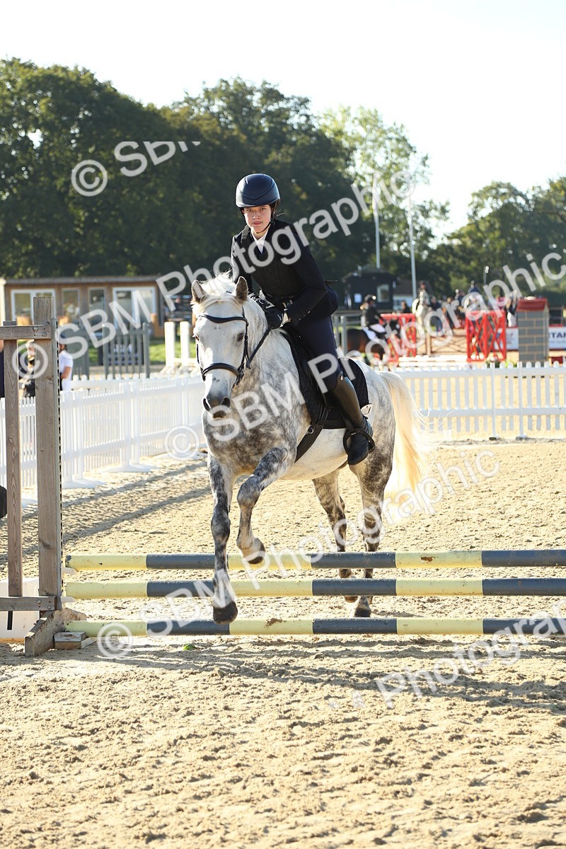 SBM_35069 - J5 - Junior Pony 50cm Championship