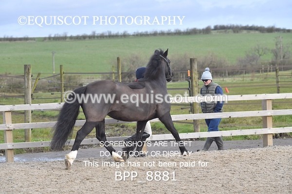 BPP_8881 - RING 2 - M&M