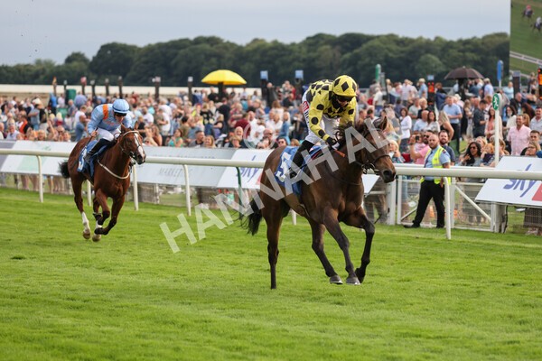 yr23072021r3-26 - Race 3 7.00pm The JKH 80th Birthday Celebration EBF Novice Median Auction Stakes (Plus 10 Race)