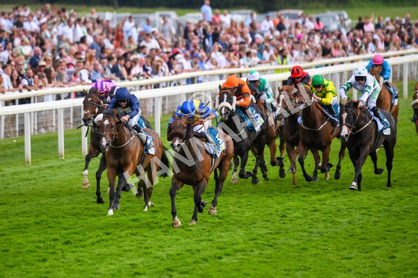 170623-Race 7-The Green Man-0995 - Race 7 5.25pm Clean Up With PPS Handicap