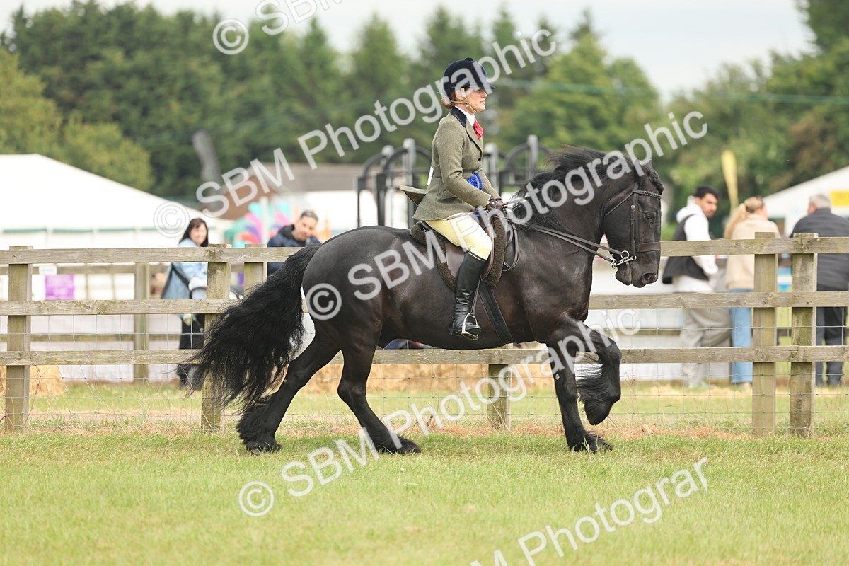 SBM_09168 - Class 78-80 - Ridden M&M Non Welsh Ponies