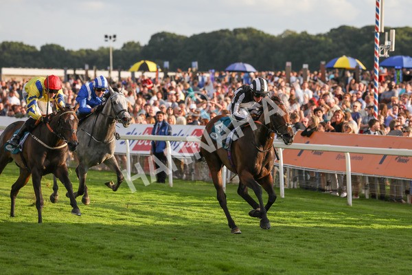 260724-Race 5-Verbier-4152 - Race 5 7.50pm British EBF Lyric Fillies' Stakes