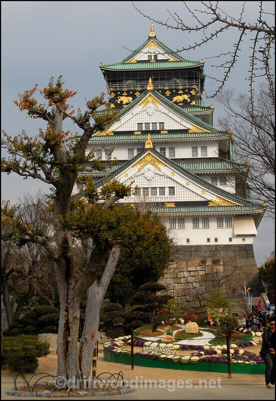 Japan Osaka castle and tree - Japan