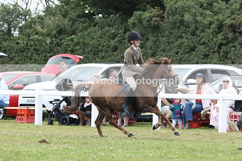JPP_1913 - Class 18: Tiny Tots Working Hunter Pony