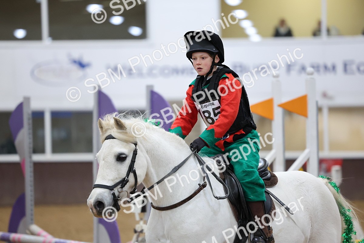 SBM_001214 - Class 3 - Christmas Tree Stakes - 60cm