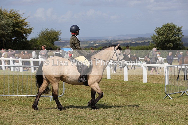 1X9A5519 - Class 38: NPS Novice Ridden Small and Large Breeds